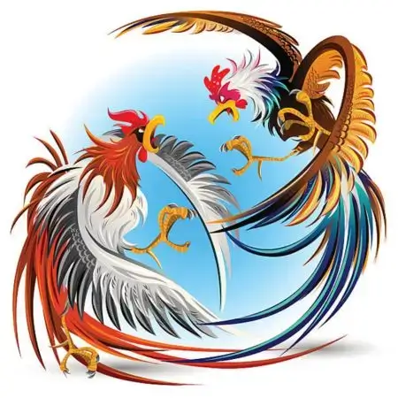 Sabung ayam 8id